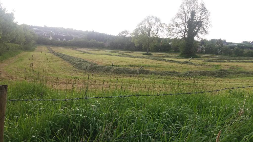 a field of grass with a barbed wire fence at Aunt Mollie's Cottage in Coalisland