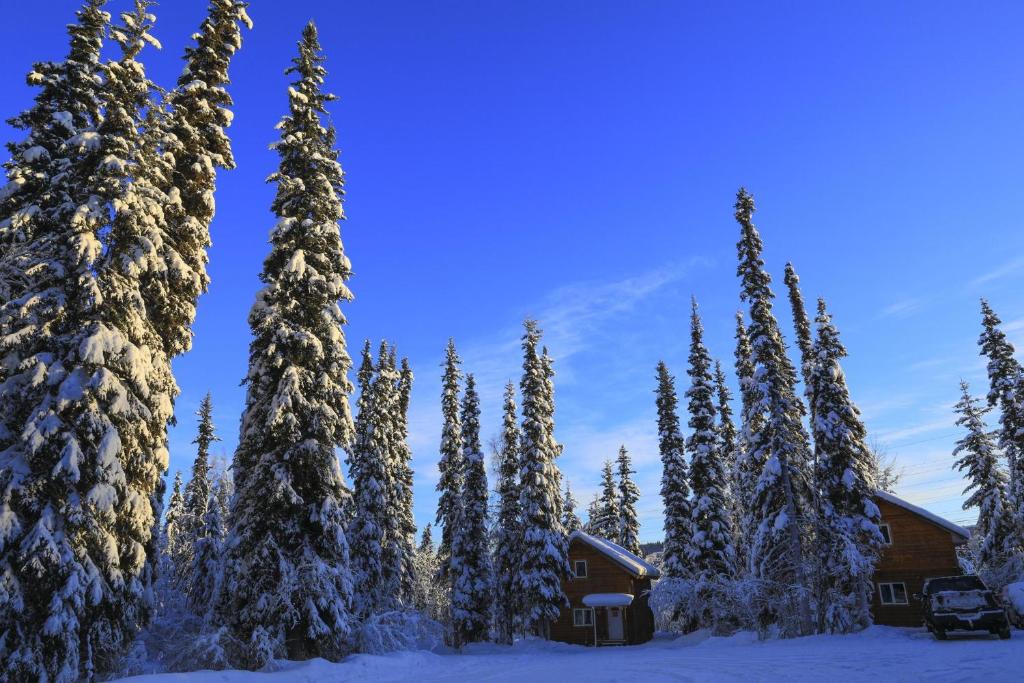 Casa o chalet The Cabin in the Woods 2 森林小屋 2 (EE.UU. Fairbanks)