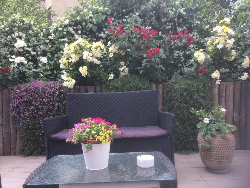 Zahrada ubytování Giardino Sorrentino