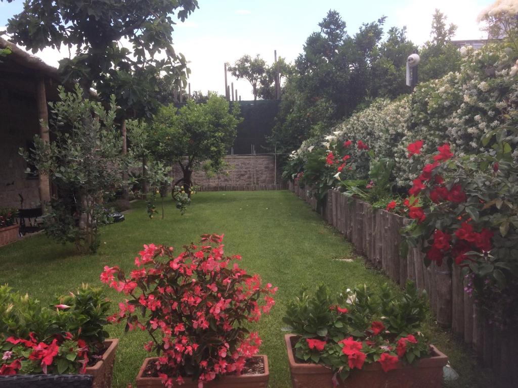 Zahrada ubytování Giardino Sorrentino