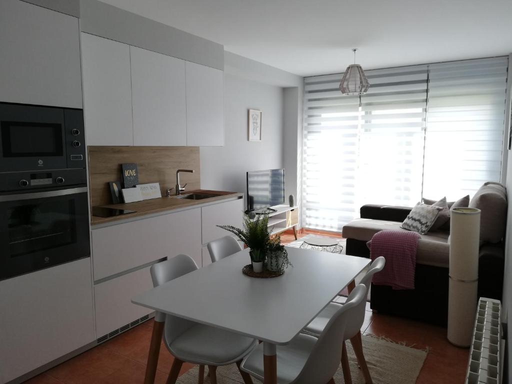 Een keuken of kitchenette bij Avenida da Ponte Apartamento