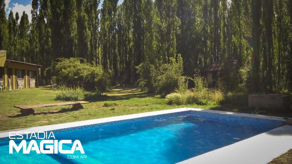 una piscina en un patio con árboles en Cabañas en Malargue en Malargüe