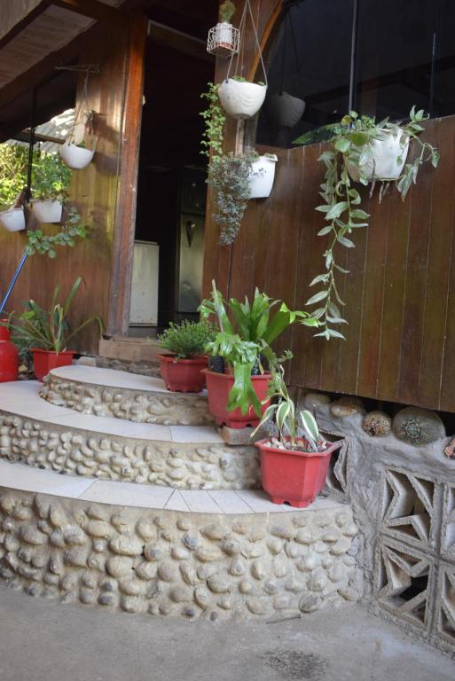 Zahrada ubytování Casa Hospedaje Tingomaria