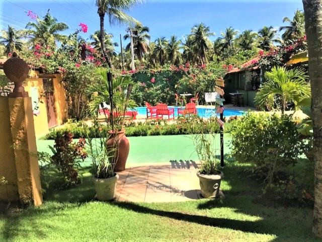 un jardín con macetas y una piscina en Suítes Bouganville, en Porto de Galinhas