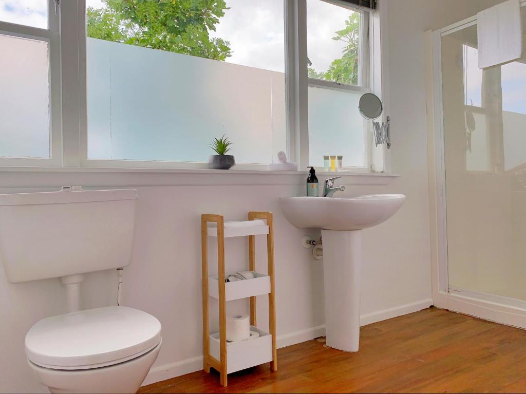 uma casa de banho com um WC, um lavatório e uma janela em Sunny & Cozy Home near Western Springs em Auckland