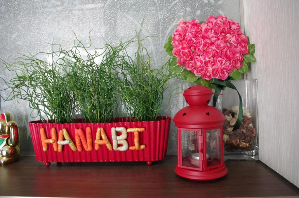 Fotografie z fotogalerie ubytování Hanabi Hotel v Tokiu