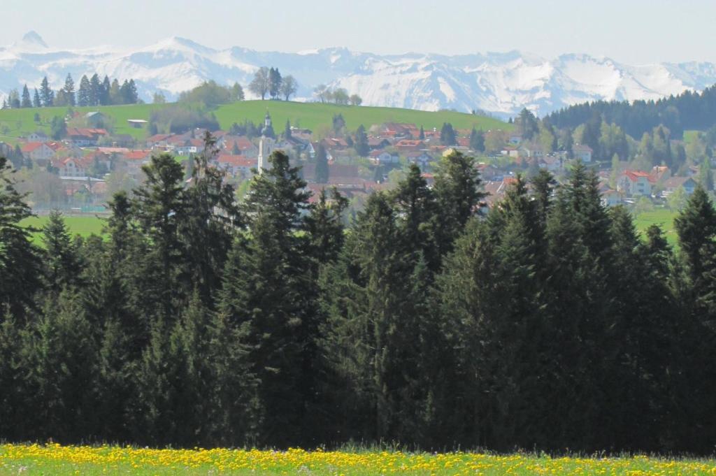 Příroda nedaleko apartmánu