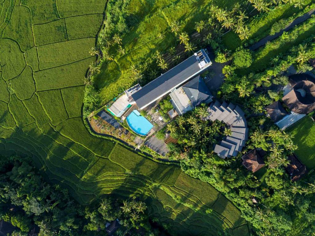 widok na dziedziniec z basenem i polem w obiekcie Royal Casa Ganesha w mieście Ubud