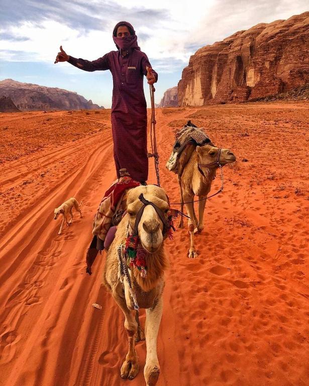 Hosté ubytování Star City Camp wadirum