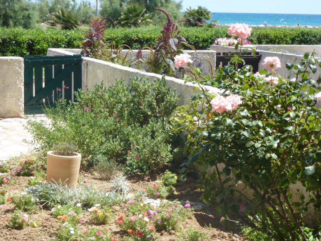 een tuin met roze bloemen en de oceaan op de achtergrond bij Goelands in Palavas-les-Flots