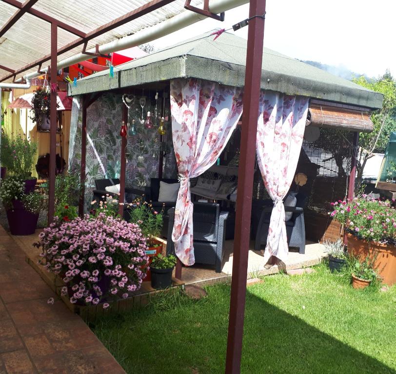 Zahrada ubytování Chambres et Table d'hôte Les Hortensias