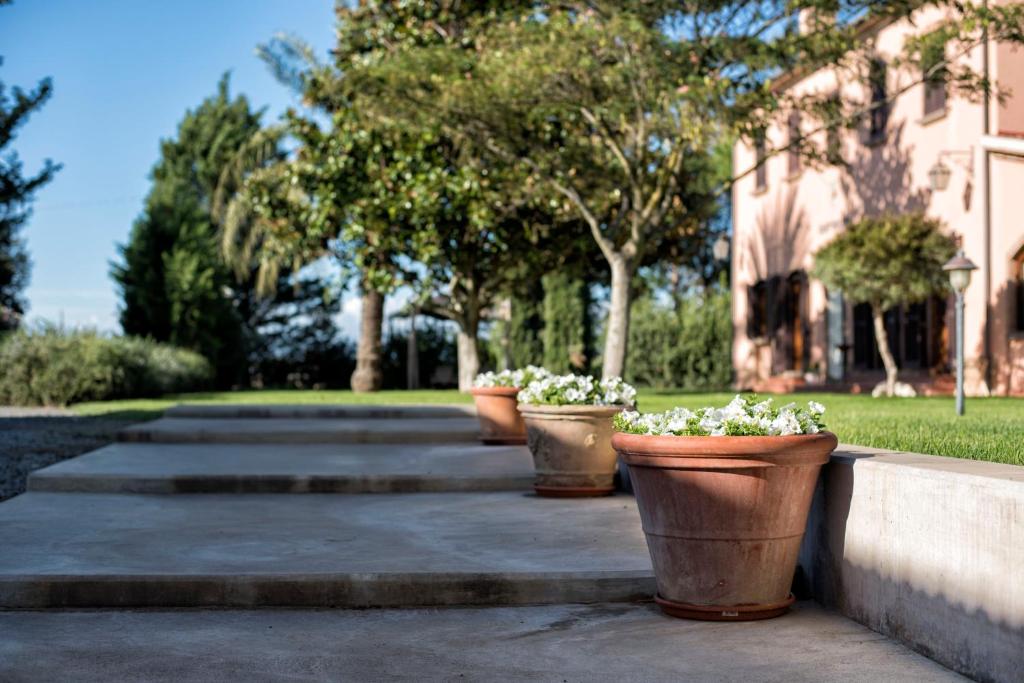 three potted plants sitting on a concrete wall at Agriturismo Sant'Uberto in Bolgheri