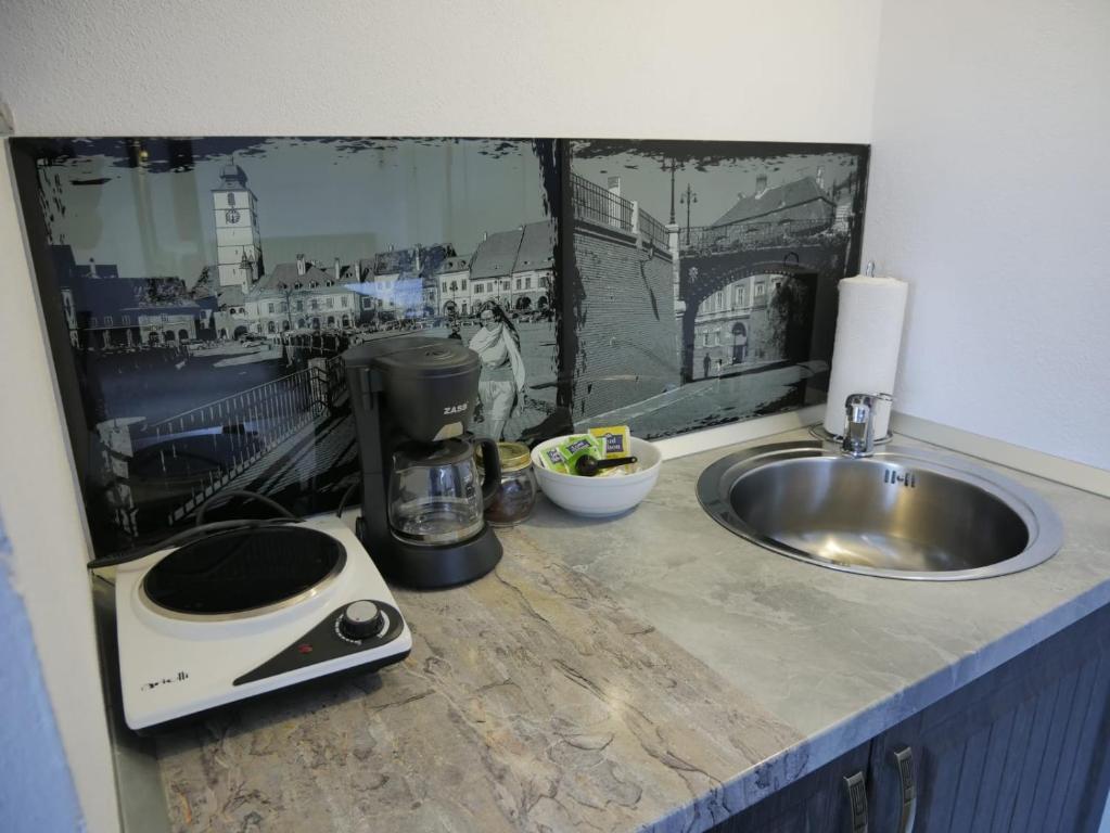 Sibiu City Center Apartments - Resim 16