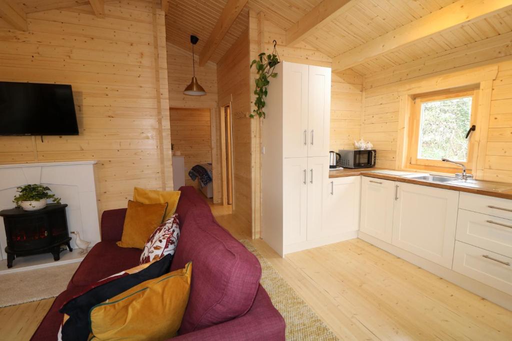 Kuchyň nebo kuchyňský kout v ubytování Inisean Lodge log cabin -part of Inisean B&B