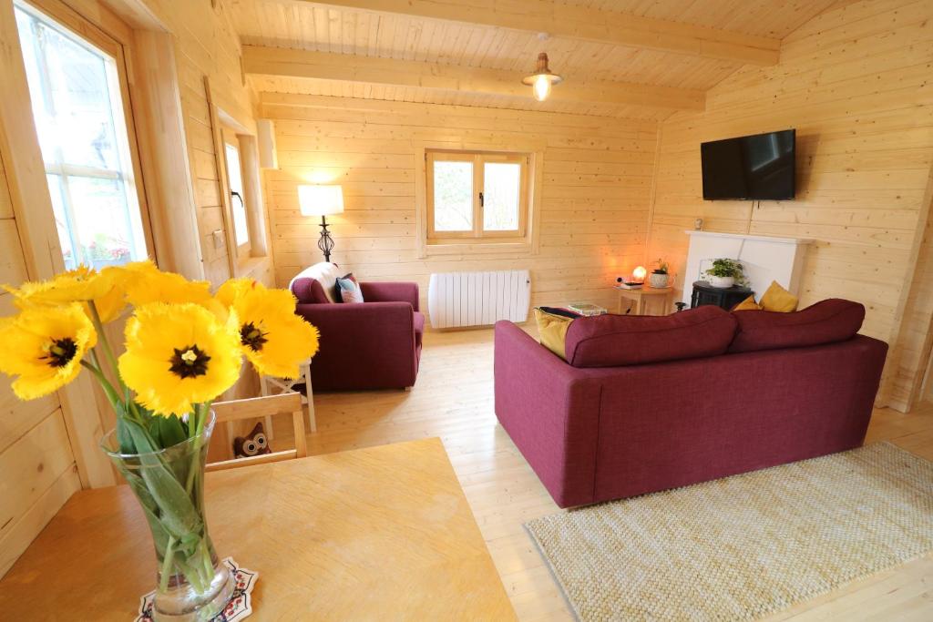 TV a/nebo společenská místnost v ubytování Inisean Lodge log cabin -part of Inisean B&B