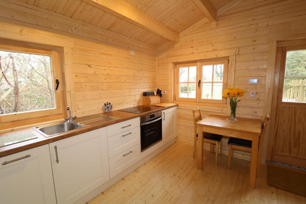 Kuchyň nebo kuchyňský kout v ubytování Inisean Lodge log cabin -part of Inisean B&B