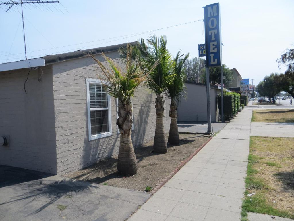 a row of palm trees next to a building at King's Lodge Motel in Los Angeles