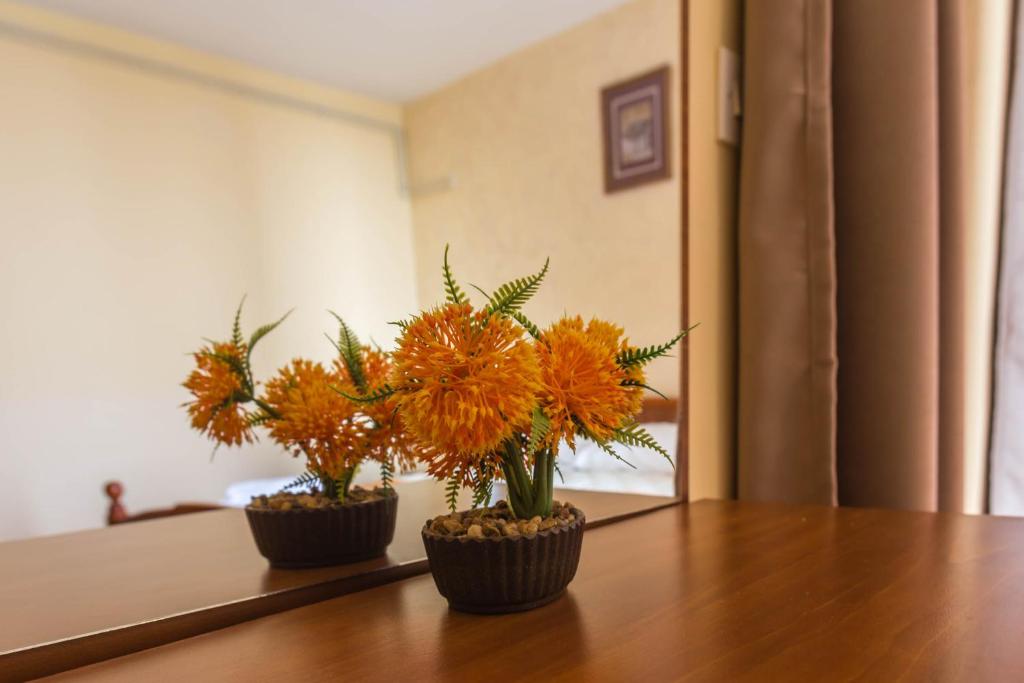 Fotografie z fotogalerie ubytování Mali Miločer Bay Accommodation v destinaci Sveti Stefan