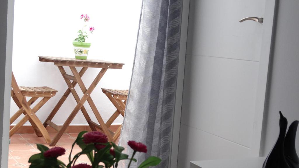 una mesa en una habitación con una cortina y una planta en apartamento rio salado, en Conil de la Frontera