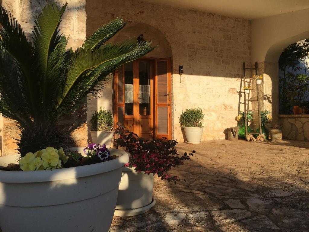 a large white pot with plants in front of a building at Il Trullo del Lazzeruolo in Santa Lucia