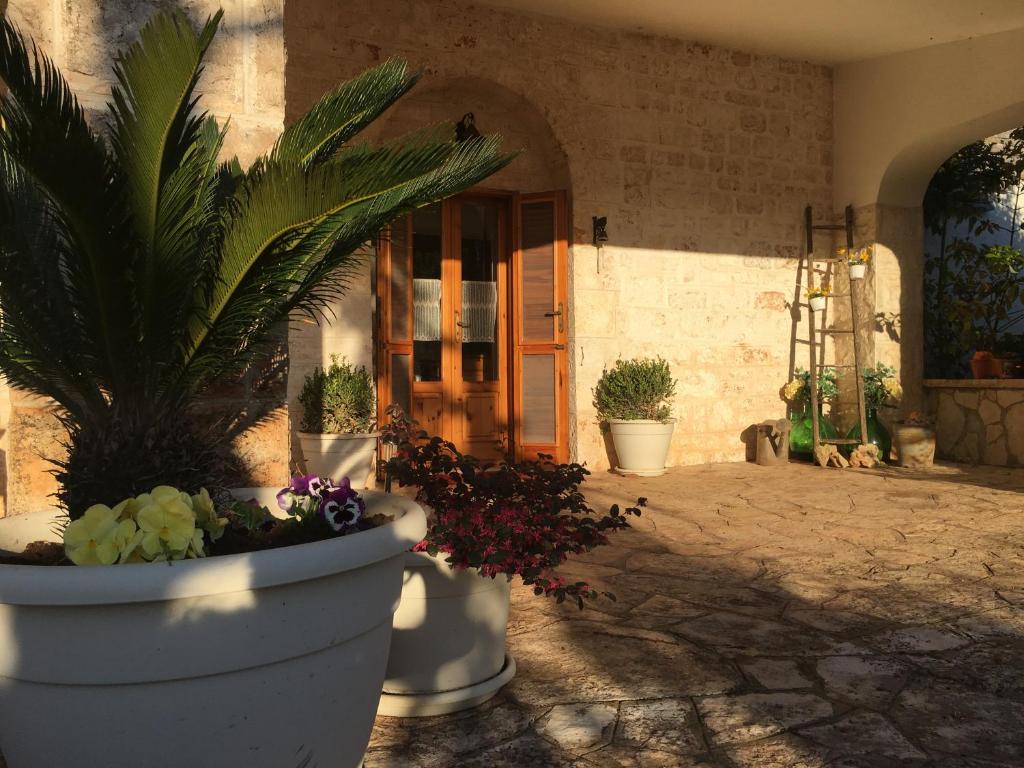 Zahrada ubytování Il Trullo del Lazzeruolo