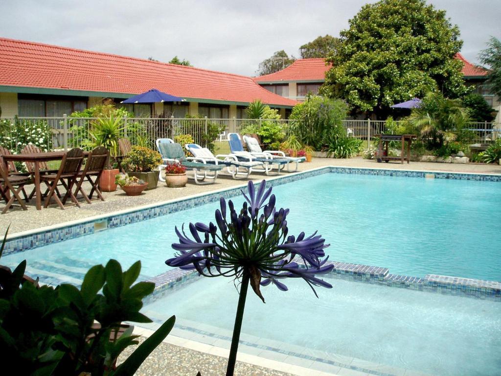 Airport Gold Star Motel - Resim 15