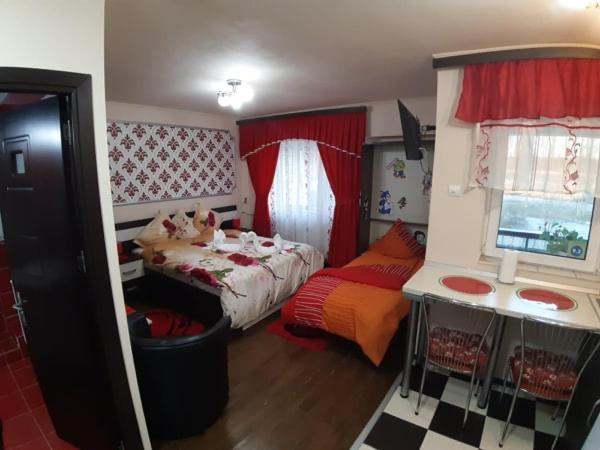 Habitación pequeña con cama y escritorio. en Garsoniera Lorelai, en Băile Felix