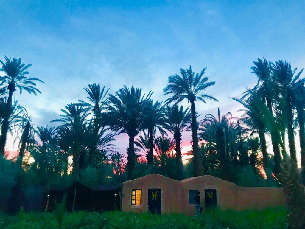 a house in front of a group of palm trees at Bivouac Lot Of Stars in Ouarzazate