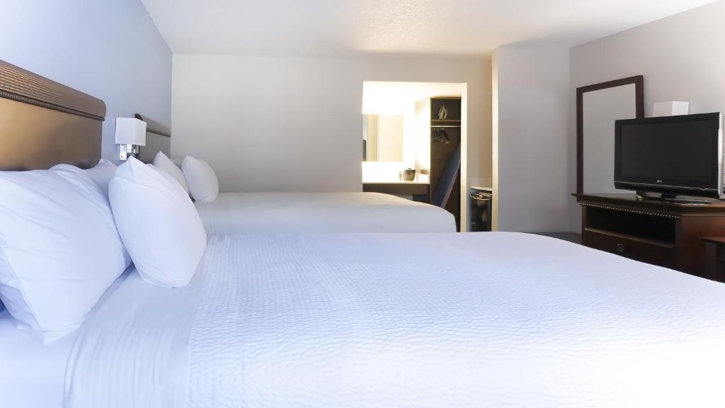 Hotel South Tampa & Suites - 豪华皇后室和两个大床 - 不吸烟