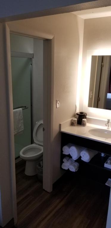 Hotel South Tampa & Suites - King Suite - No Fumadores