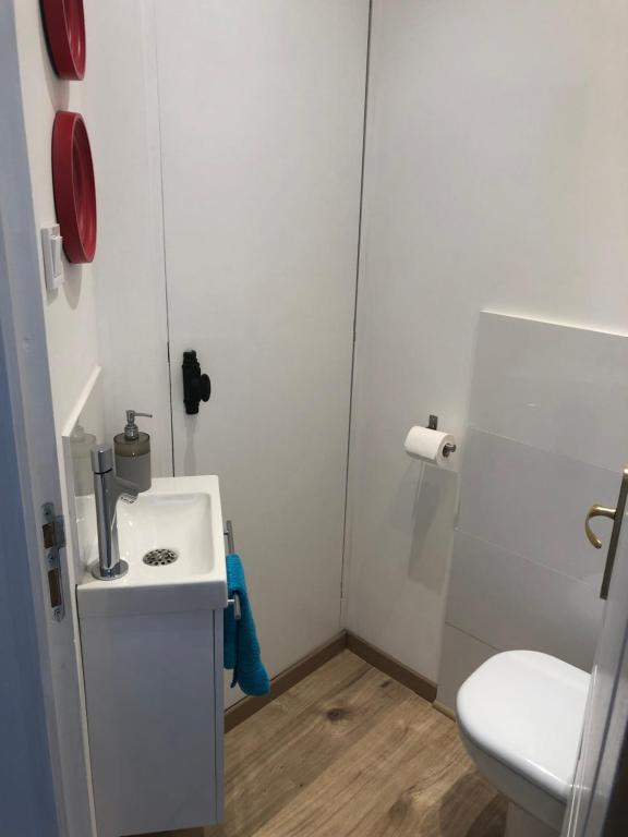 L'Ours de Colmar - Appartements en centre ville - 17