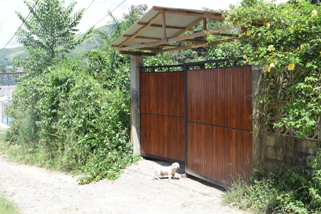 Fotografie z fotogalerie ubytování Casa Hospedaje Tingomaria v destinaci Tingo María