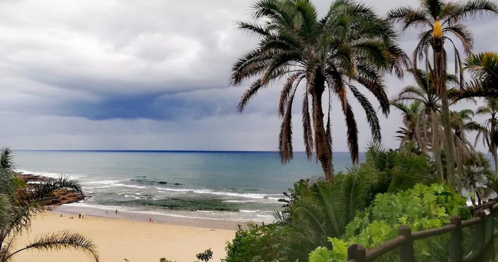 a view of a beach with palm trees and the ocean at Laguna 75 in Uvongo Beach