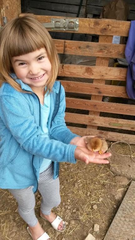 Děti v ubytování Kerschbamerhof im Süden Südtirols