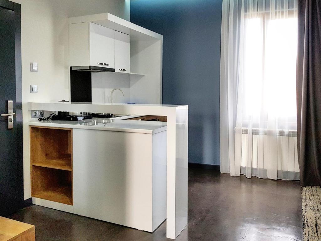 Kuchyň nebo kuchyňský kout v ubytování Hotel Alpha