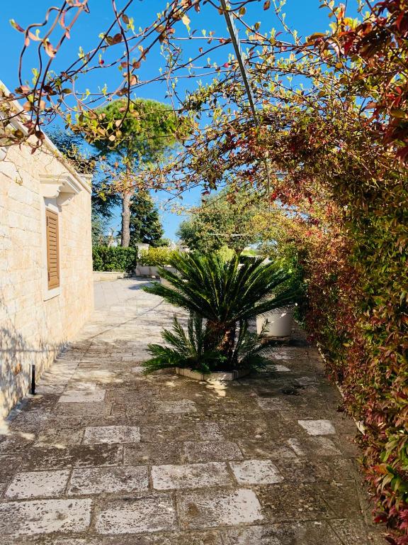 Zahrada ubytování I Trulli Di Badi