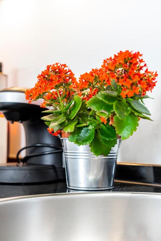 Castle Inn Lisbon Apartments - 19