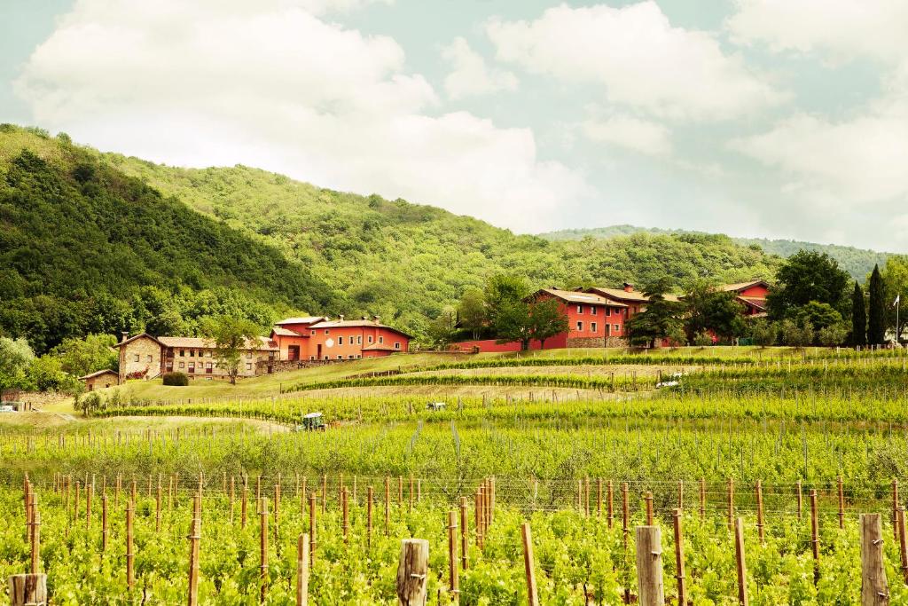 un vignoble avec des maisons rouges dans un champ verdoyant dans l'établissement Agriturismo l'Uva e le Stelle, à Faedis