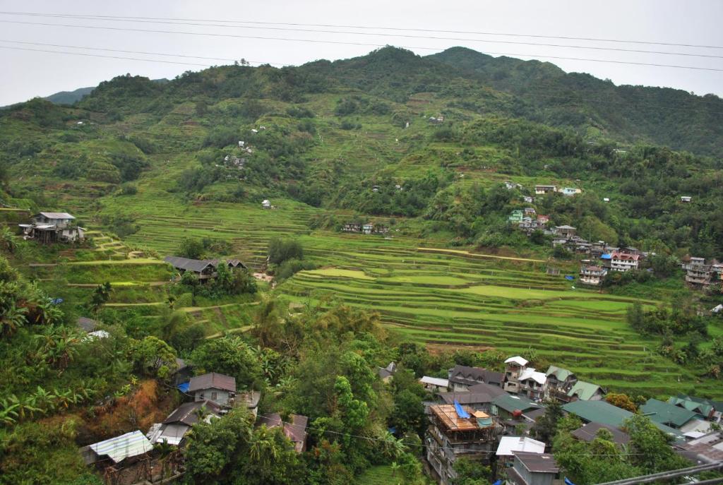 a village on the side of a mountain at Banaue Homestay in Banaue