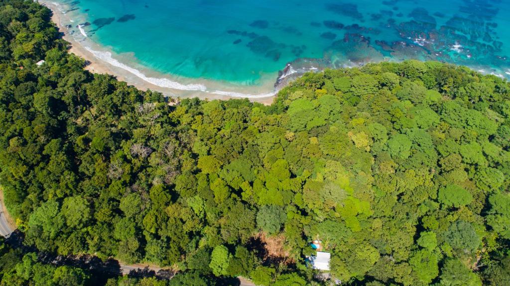 an aerial view of a forest and a beach at Casa Cerise Beachfront in Puerto Viejo