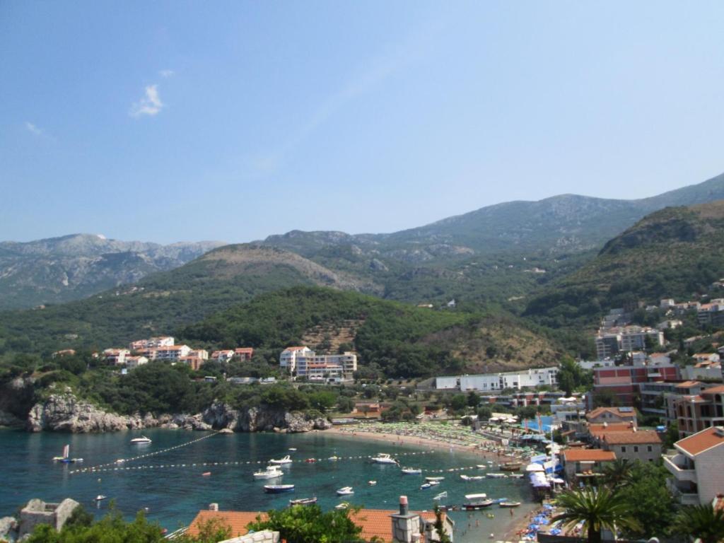 a view of a harbor with boats in the water at Apartments Mitrovići Miločer in Sveti Stefan