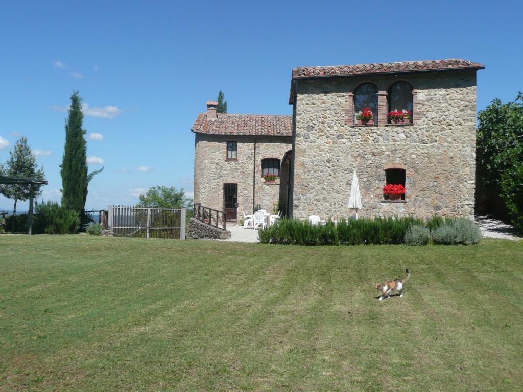 a dog walking in the grass in front of a building at Agriturismo Colli di Travale in Montieri