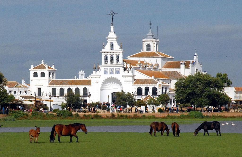 a group of horses grazing in a field in front of a church at Alojamiento Rural Flamingo in El Rocío