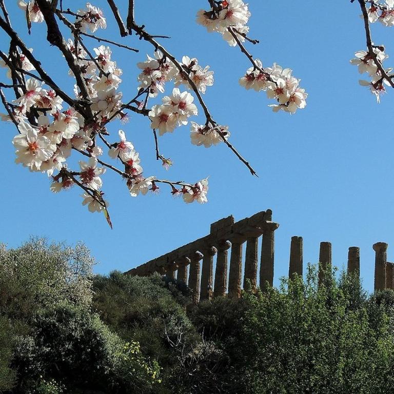 Fotografie z fotogalerie ubytování B&B Giunone v destinaci Agrigento
