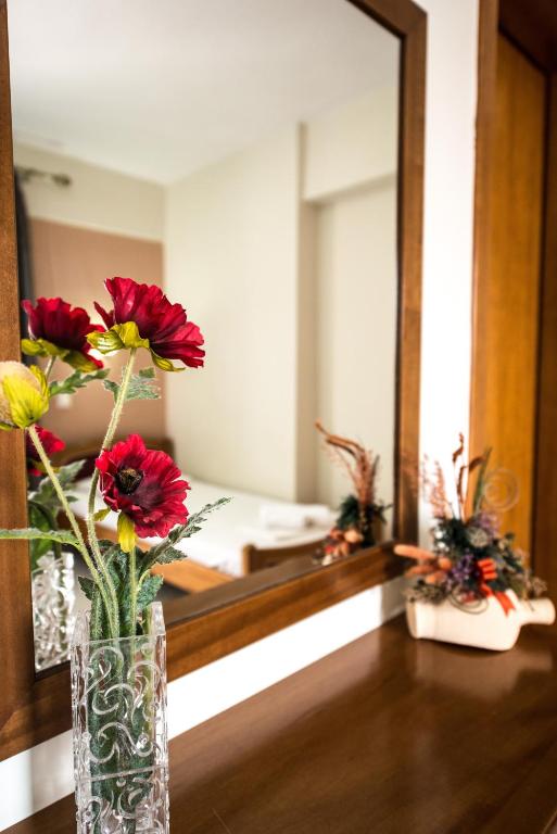 Fotografie z fotogalerie ubytování Hotel Alexandros v destinaci Néoi Póroi
