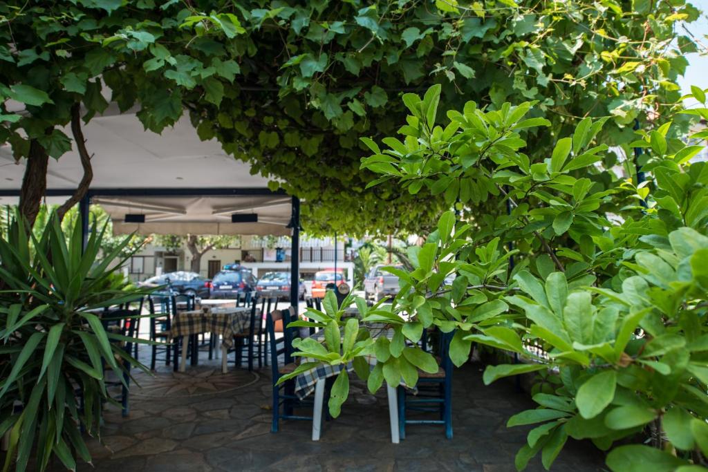 Zahrada ubytování Hotel Alexandros