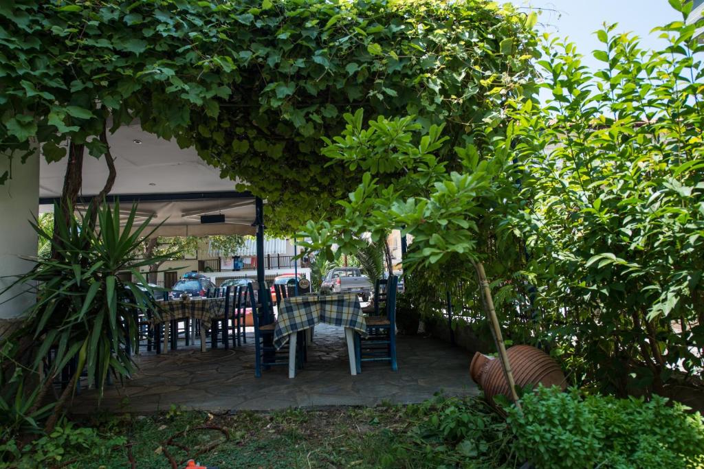 Zahrada ubytování Hotel Alexandros