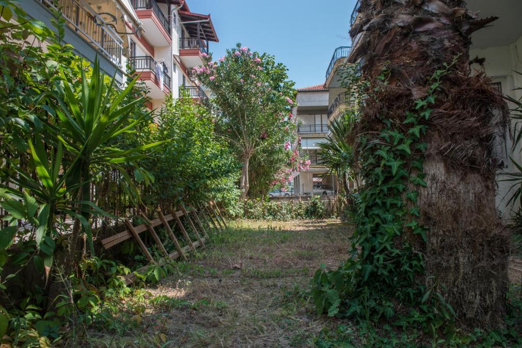 Zahrada ubytování Hotel Alexandros