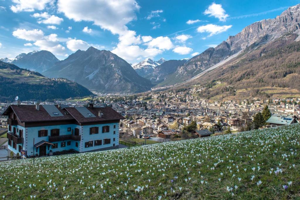 ボルミオにあるHotel Eiraの山を背景にした丘の上の町