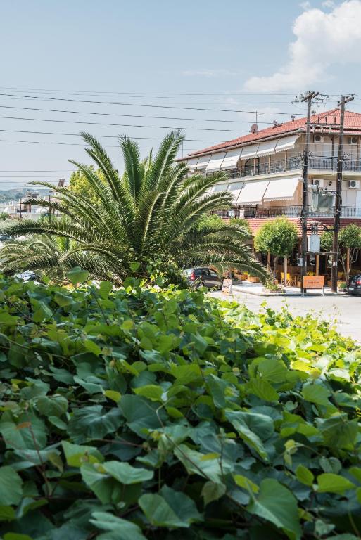 Zahrada ubytování Hotel Alexandros